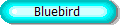 Bluebird