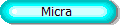 Micra